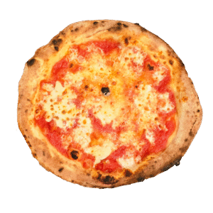 Pizza Margherita